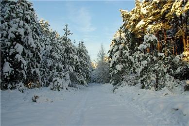 仍需等待 《杀出重围》主演发文否认新作开发消息